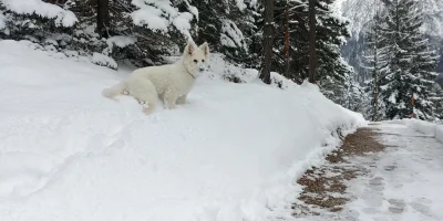 episode - Polar pozdrawia. :) Świat jest mały :)