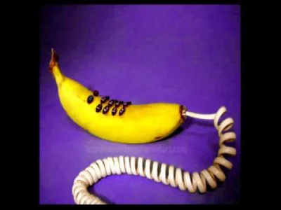 D.....i - Ring ring ring ring ring BANANA PHONE!

#bananaphone #banana #muzykanawiecz...