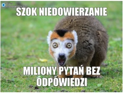 L.....s - @Felonious_Gru: @PyraPrzeznaczenia ma Ciebie na czarnej liście?