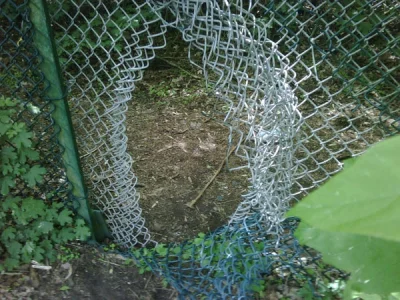 motyla-stopa - @peperepe: Kiedyś też tak miałem. Pewnie masz dziurę w ogrodzeniu.