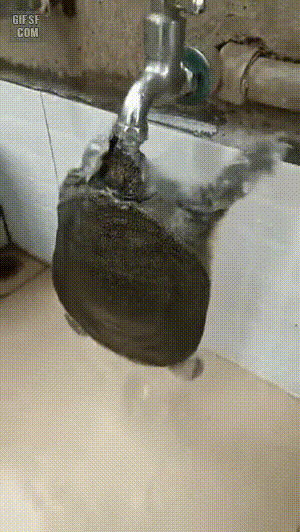 p.....e - #smiesznypiesek