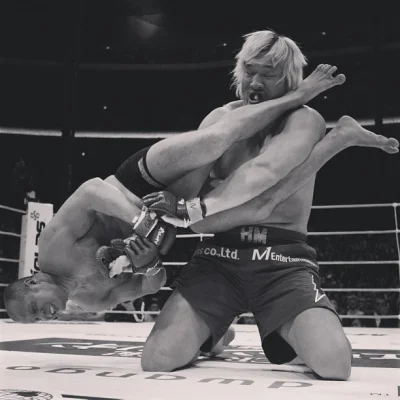 puszczyk05 - Fedor kontra Hong Man Choi . Chyba jedno z lepszych zdjęć MMA jakie widz...