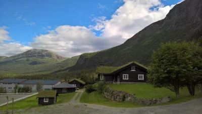 sommerfugl - #norwegia #skandynawia #azylboners