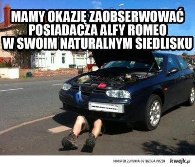 DeXteR25 - #humor #humorobrazkowy #alfaromeo