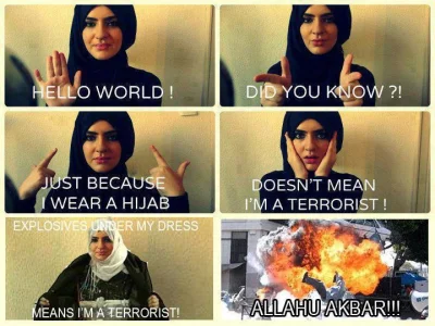 krruk1 - prychnąłem

#heheszki #4chan #allahboners