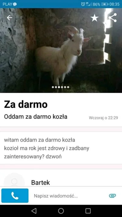 biesy - w sumie brałbym, tylko nie mam w domu karmy dla kozłów ( ͡° ʖ̯ ͡°)

#olx #s...