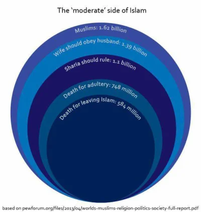 n.....d - "umiarkowany" #islam #scarychart ( ͡° ͜ʖ ͡°)