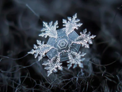wojtasmaster - marko zdjęcie płatka śniegu za petapixel

#zdjecie #wowcontent