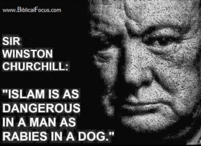 LaPetit - Winston Churchill o islamie.
#islam #churchill