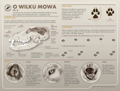 Lifelike - #nauka #biologia #wilk #przyroda #infografika #liganauki #swiatnauki #grap...