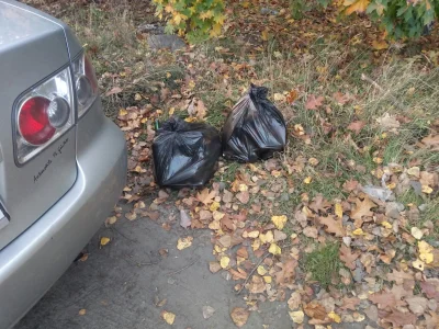 Randomowy_nick1 - Poniżej zdjęcie ile śmieci zebrałem nie ma sprzedaż