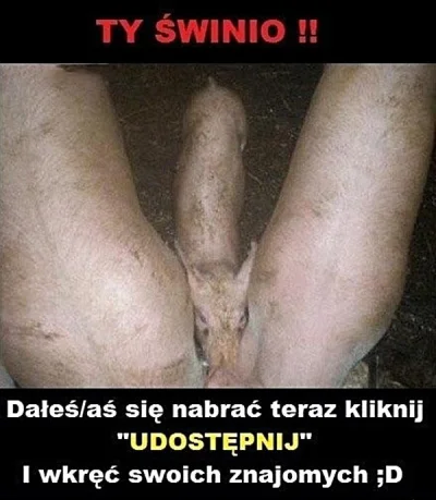 xdpedia - @xdpedia: Ty świnio https://www.xdpedia.com/36800/ty_swinio.html #penis #me...