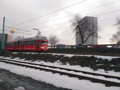 sylwke3100 - Tramwaj typu E1 na linii 11 przemierzający trasę wzdłuż Parku Śląskiego/...