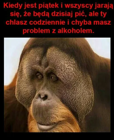 grohol - #heheszki #humorobrazkowy #piatekpiateczekpiatunio