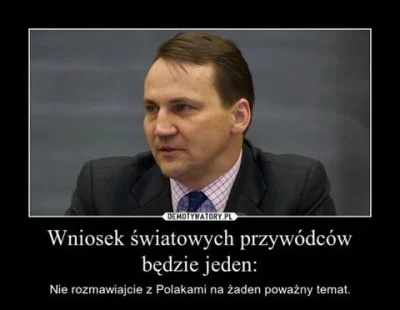dario-str - #polityka #polska #politykazagraniczna #radeksikorski #humorobrazkowy #4k...