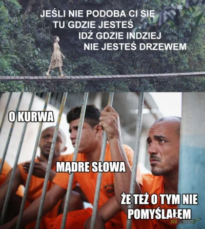 a.....d - #humorobrazkowy #przemyslenia #zlotemysli #memy