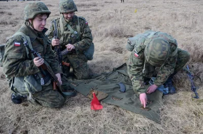 s.....1 - UWAGA! Terapia szokowa! Tak wygląda Wojsko Polskie: 

Zdjęcia z 14 marca....