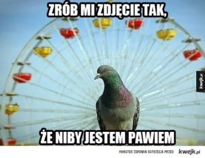 Maaska - Taaaaak :>

#heheszki #humorobrazkowy #zwierzaczki #smiesznygolomp #kwejka...