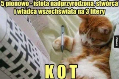 poszukujekota - #kot #kitku #heheszki #humorobrazkowy #koty