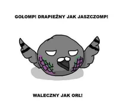 w.....z - #humorobrazkowy #golompdrapieznyjakorl