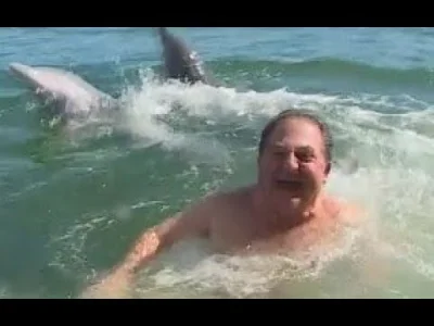 JanParowka - Rekin pływania z delfinami jest jeden