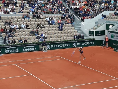 wogul - Cały stadion za Magdą #tenis