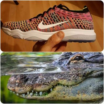 Darijka - Czy tylko mi się wydaje, czy moje buty na prawdę wyglądają jak krokodyli łe...