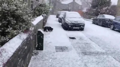 likk - koniec, miłego weekendu Śnieżki i Śnieżanny