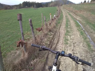 RGBe - Taki jakieś puszki. 

#rower #mtb #beskidy