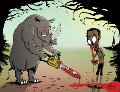 N.....m - #animalrights #nosorozce #przyroda