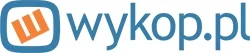 rss - @demon83: @Psychonaut: logo wykopu? Jakieś kolory dziwne, jakieś przestrzenne e...