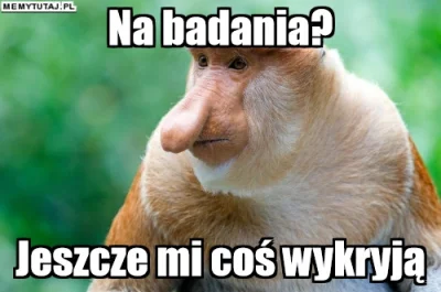 PawelW124 - #humor #heheszki #polak #nosaczsundajski #nosacz #memy #zdrowie #rakconte...