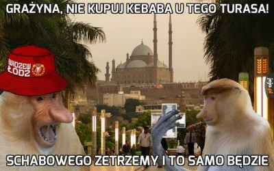 pablonzo - haha XD
#heheszki #humorobrazkowy #polak #nosaczsundajski #kebab