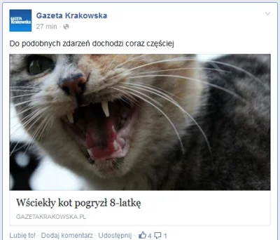 Otter - #koty #gazetakrakowska

so it begins

.