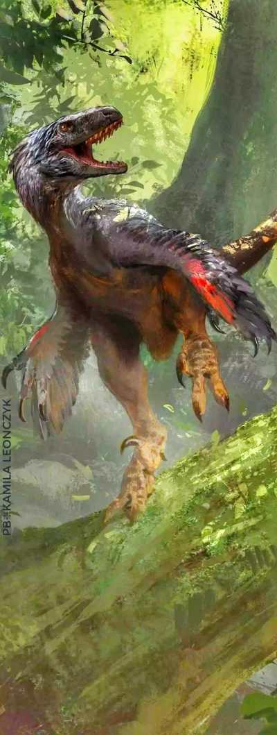 Tiszka - Śliczny i uroczy atrociraptor z serii figurek raptorowych z Kickstartera. To...