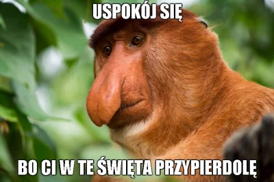 rales - #polak #nosaczsundajski #humorobrazkowy #patologia 

U mnie na chacie ( ͡° ...