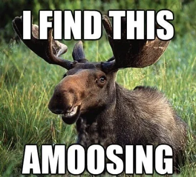 F.....a - > I saw this huge moose shagging one of my cows doggy-style