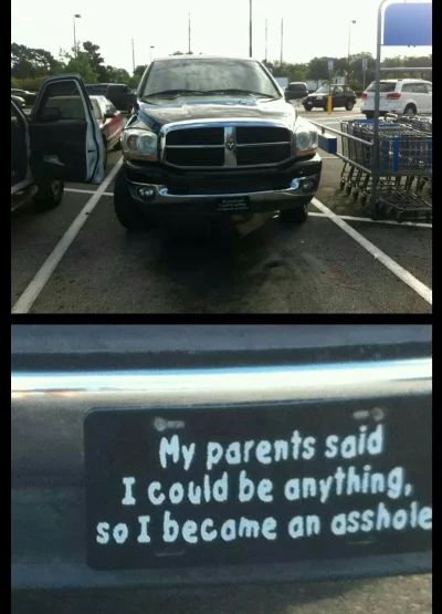 L.....s - #humorobrazkowy #reddit #parkowanie
