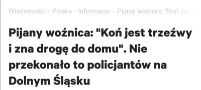 blyskciupagi - Co?
#dolnyslask #koniary ##!$%@?