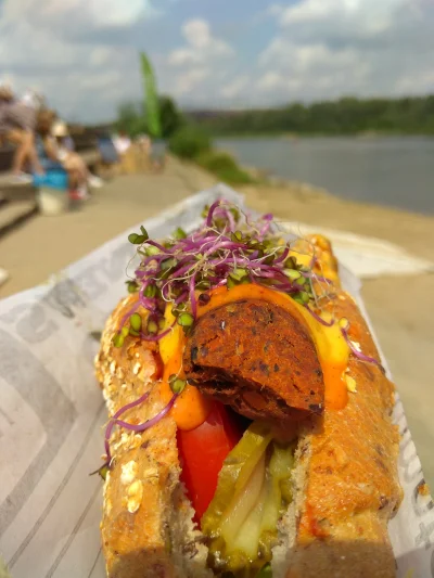 smyl - Wegański hot dog chorizo z vege kiosku (｡◕‿‿◕｡) polecam

SPOILER