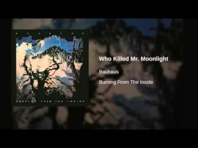 Ethellon - Bauhaus - Who Killed Mr. Moonlight
SPOILER
#muzyka #bauhaus #ethellonmuzyk...