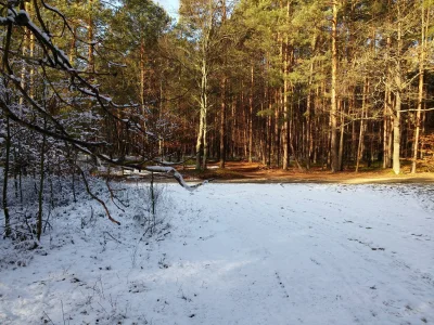 SzymekCzarodziej - @ZdejmKapelusz: A widzieliście kiedyś skraj zimy? ;-) Moje zdjęcie...