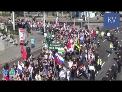 M1r14mSh4d3 - Mi to wygląda na zabezpieczenie manifestacji.