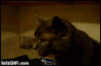 s.....e - @Pantograf: tak mi się zaraz przypomniało ( ͡° ʖ̯ ͡°)