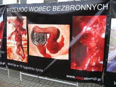 wielooczek - Autorami projektu tej ustawy są oszołomy od akcji "Wybierz życie"(plakat...