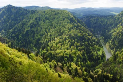 P.....f - Przełom Dunajca.
#earthporn #gory #pieniny #dunajec