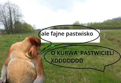 M.....n - To wielka chwila dla sprawiedliwości, jednakże nie możemy ustawać, ponieważ...