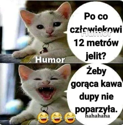 w.....R - #heheszki #humorobrazkowy #smiesznememe #grazynacore