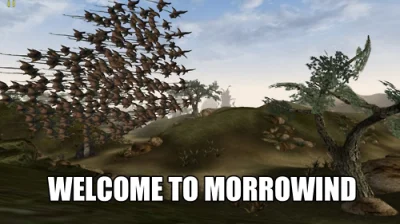 Dziadekmietek - @LawrencezArabii: Morrowind był super przez swoją surowość, której ni...