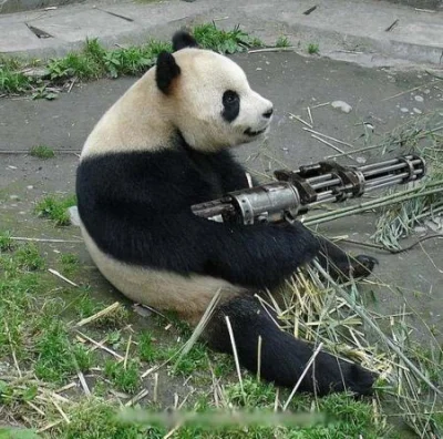 kewin2430 - Też macie tak że chcecie być pandą i mieć kozacką broń?